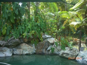 CIMG0084