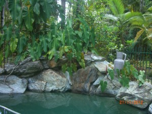 CIMG0085