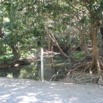 Billabong is a Wiradjuri word that is used for an oxbow lake, an isolated pond left behind after a river changes course.