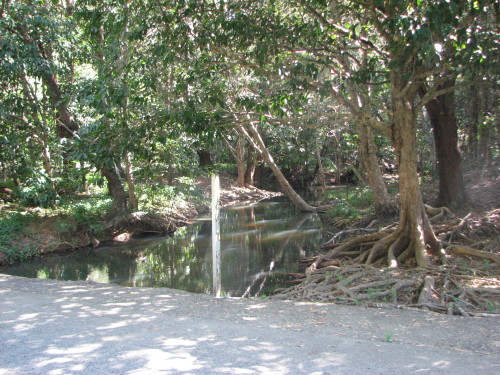 Billabong is a Wiradjuri word that is used for an oxbow lake, an isolated pond left behind after a river changes course.