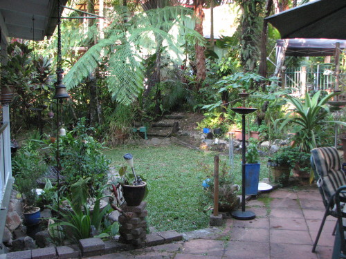 Gates removed from around the pavers here so DGD can now venture out in to part of the garden now when she comes to play. 