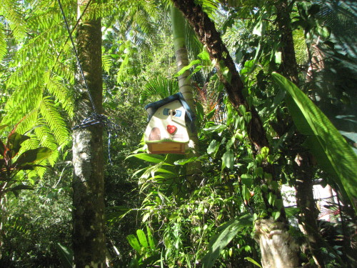 A lovely hand made birdhouse to cheer up the garden for the grand dies. 