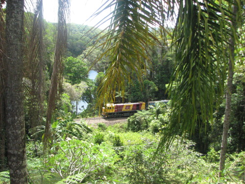 Tourist train arriving to beautiful day in the local rain forest village