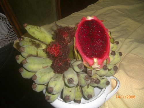 Dragon fruit it has a mild sweet floc