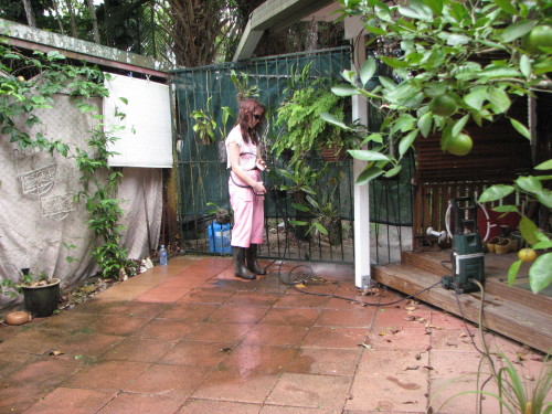 DGD cleaning the patio pavers for me they are covered in mould wh