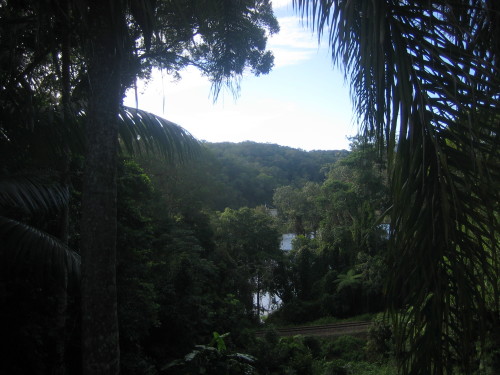 Looking out the back veranda early this morning.