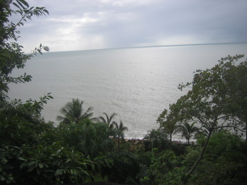 Looking out to sea from the cliffs above the beach 