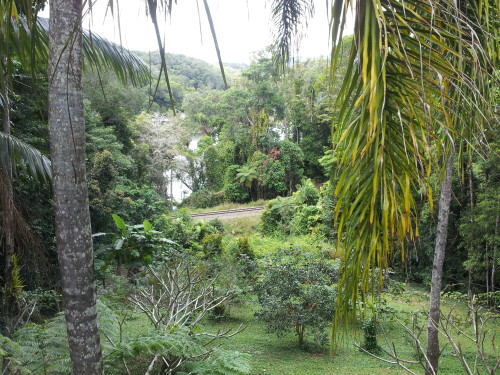 Looking down to the river