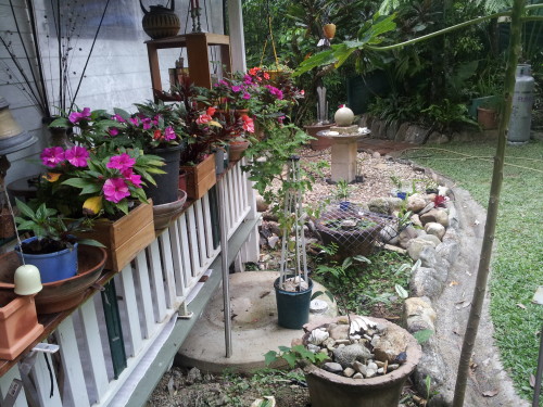 Patio entrance looks a lot nicer with the new stone bed at the end of it. We use stone beds a lot so that the turkeys don't dig gut eplants up so easy plus it makes it easy to remove the weeds and seedlings a lot easier. 