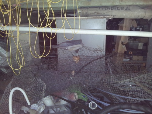 Believe it or not there is a birds nest in the middle of the roll of wire netting how they built it in there is 