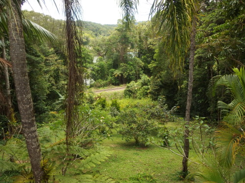 Looking down to the river