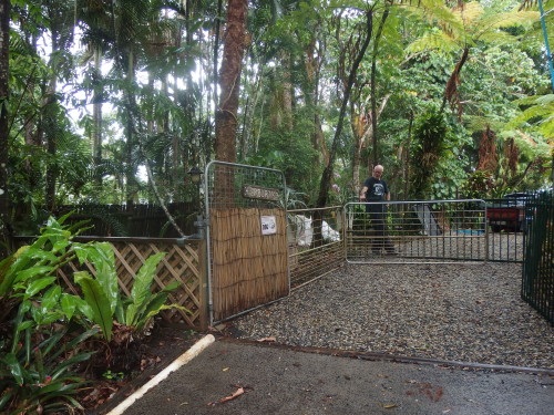 Old fence entrance