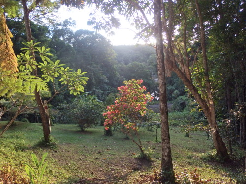 Sun has climbed over the tree tops on the far range and a new day started for me today.