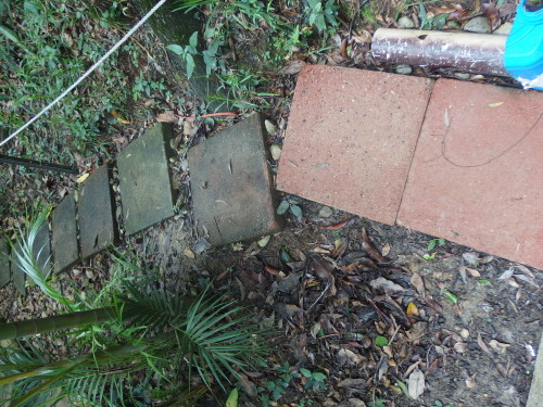 Its time to clean the pavers again;  before an dafter cleaning!!!!!!