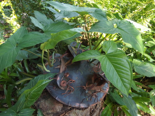 My copper frogs disappearing under the weed creepers they will have to be saved before they are eaten up completely. 