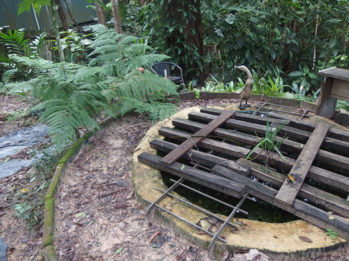 A very dreary looking pond after 5 days of rain