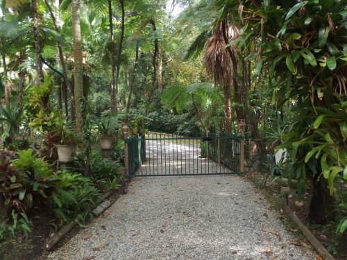 Driveway is full of fresh green colours after all the rain. 