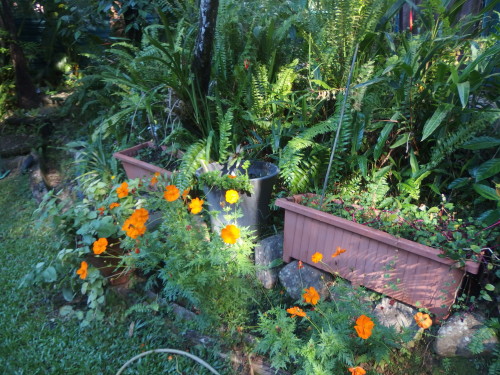 First rays of sun hitting the cosmos