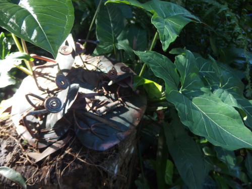 Copper frogs hiding in the creepers.