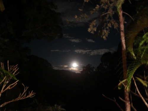 We are having a full moon at present and it is incrediable to watch it rise straight in front of our hom