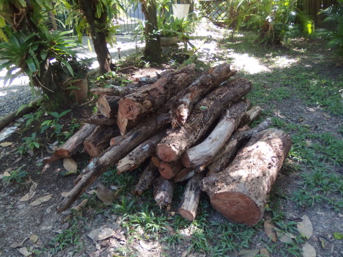 Another pile logs ready to be loaded and taken away Bless him for helping us with this job, Rod and I are past this kind of clean up now LOL 