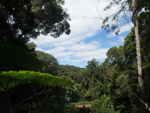 I woke up to a beautiful morning, stunning clouds and bright greens as far as I could see. 