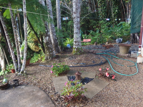 We had a very heavy shower this morning early and the place looks like it has been scrubbed clean by the fairies and their friends, how I love these mornings so fresh and clear.