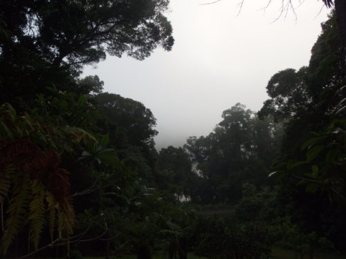 1/4 to 5 this morning we were in well and truly in the clouds taken from my front area looking down to the river and the range which you can not see!!!!