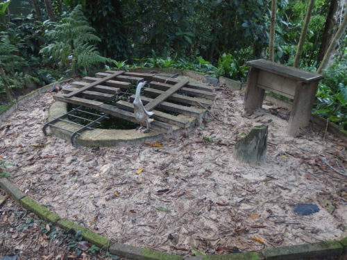 where ever you look there needs a lot of cleaning up to be done, kiddies sandpit covered in leaves.