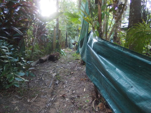 A clean side fence finally till the end of the next wet? 