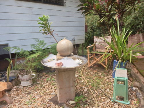 Birdbath been cleaned !!!!!