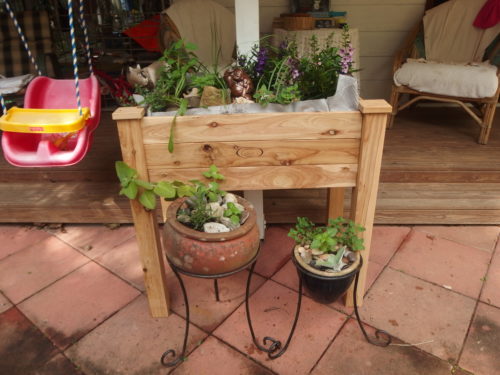 I had a birthday this month and Hubby gave me a wooden planter plus all the new herbs such a wonderful gift 