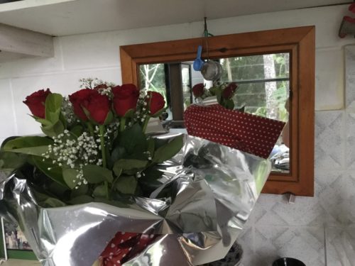 I woke up to these this morning, what a great way to start a day. Happy Valentines every one! 