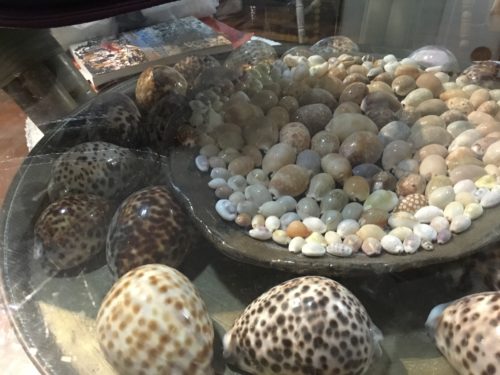Shells and more shells? 