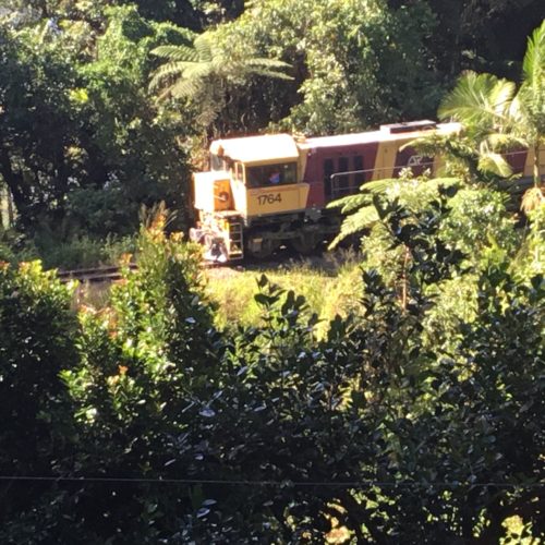 As I walked out the door to take some garden photos the tourist train went past 