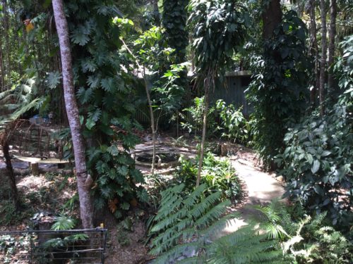 Looking down to the fishpond 