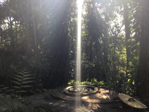 Had many cloudy days from mid Dec so the sun had to fight to find its way down to us here it is just peeping down a sun beam on to the fish pond? K