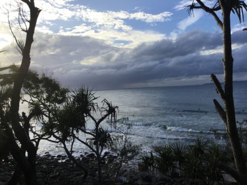 Then walked out to the point , the sea is so beautiful here at Noosa, water is crystal clear and you can see the dolphins and turtles if they are around. 