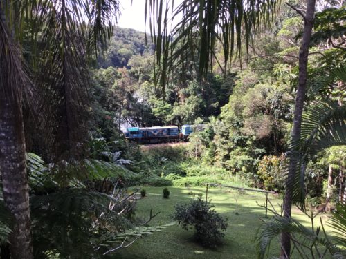 Our little local tourist train just went past 