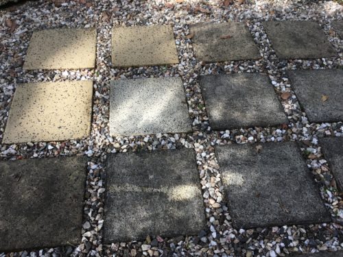 Bleaching the paves in the swimming pool area of mould. 